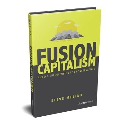 Fusion Capitalism Book Cover
